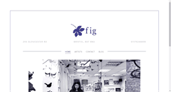 Desktop Screenshot of figshop.co.uk